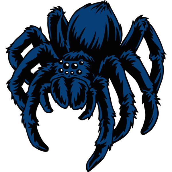 es2spider005clr Thumbnail