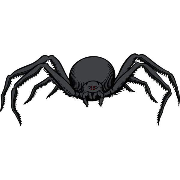es2spider007clr Thumbnail