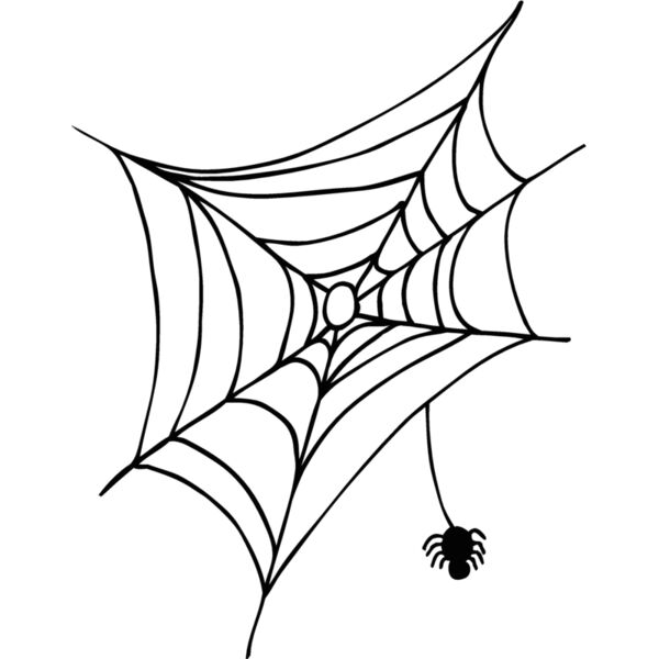 spiderweb1 Thumbnail