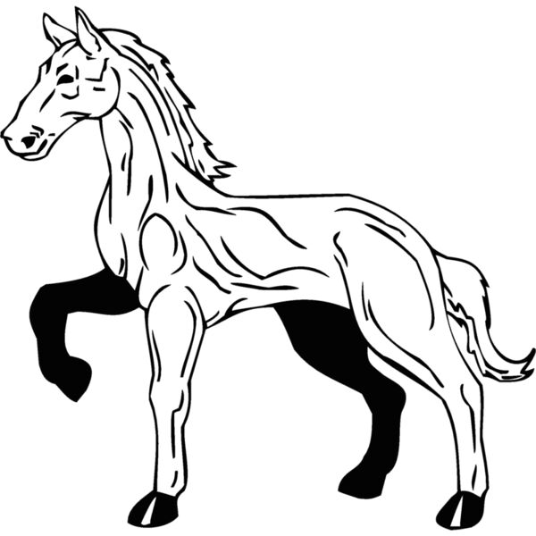 horse3 Thumbnail