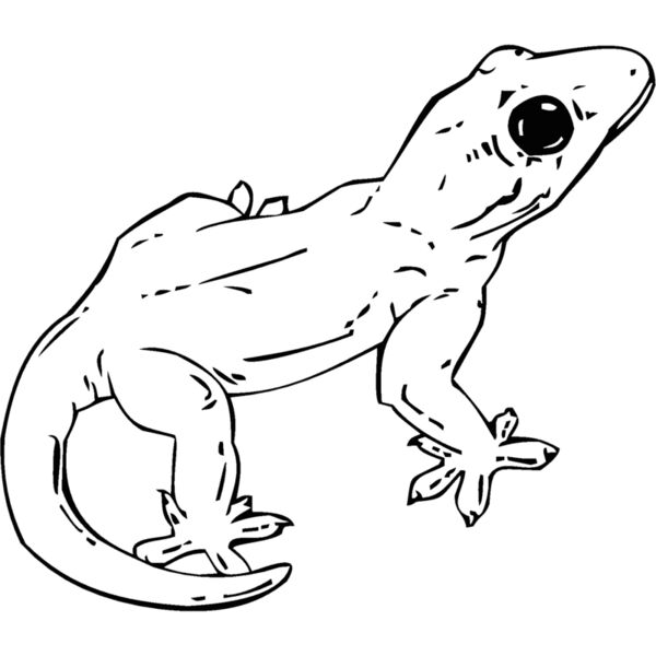 gecko Thumbnail