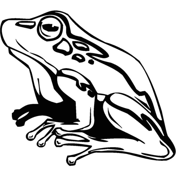 frog3 Thumbnail