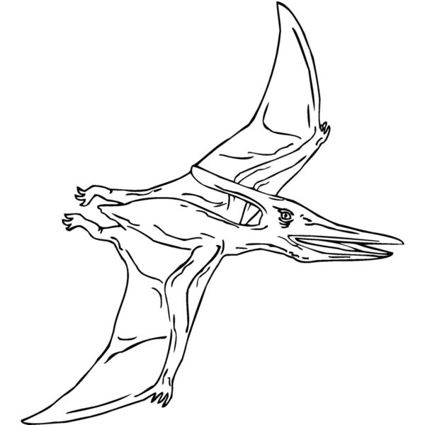 pteranod Thumbnail