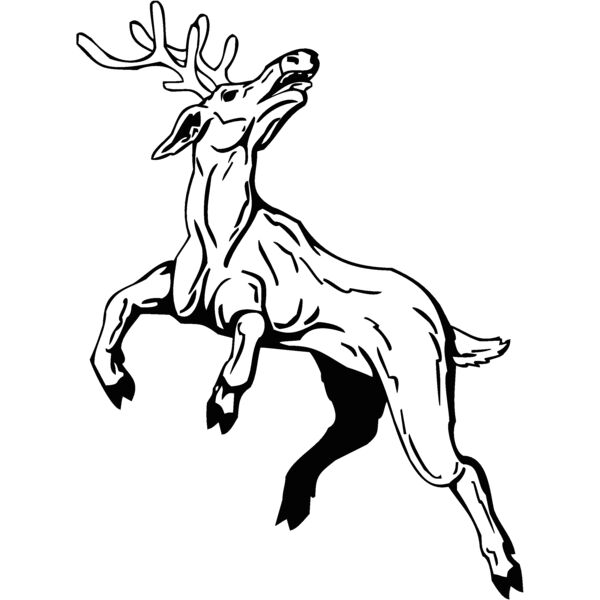reindeer Thumbnail