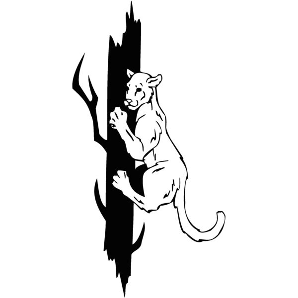 climbincougar Thumbnail