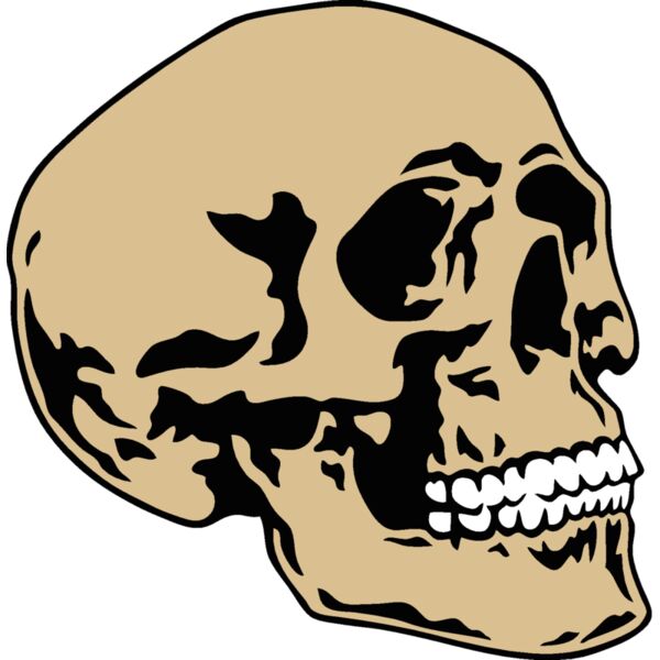 es2skull016clr Thumbnail