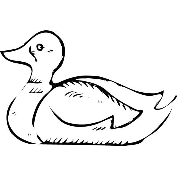 duck1 Thumbnail
