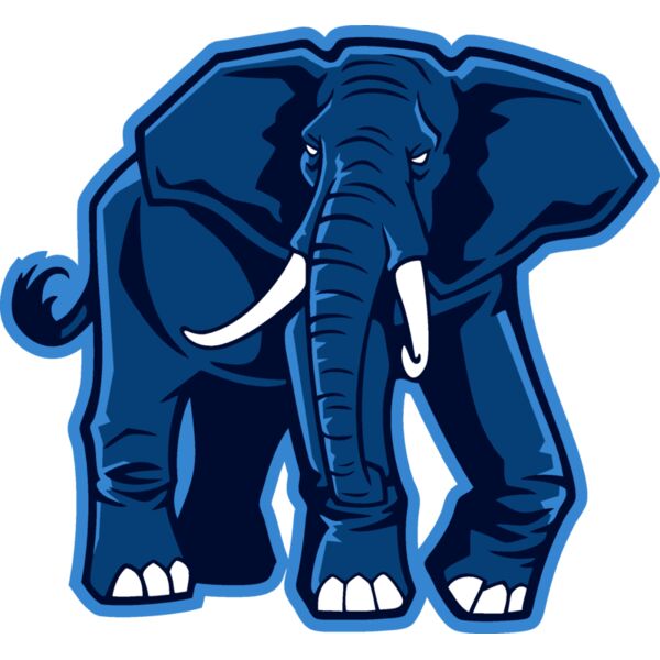 elephantjk6 Thumbnail