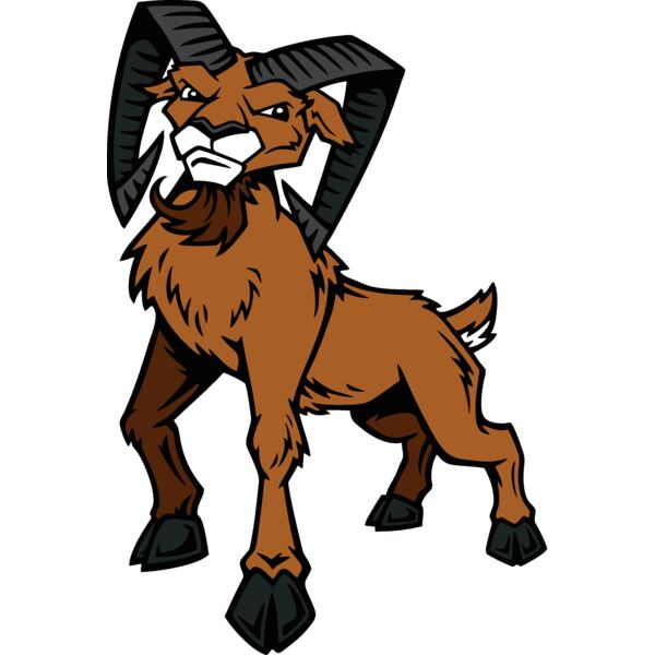 ram04v4clr Thumbnail