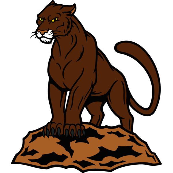 cougar05v4clr  2  Thumbnail