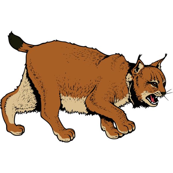 wildcat06v4clr Thumbnail