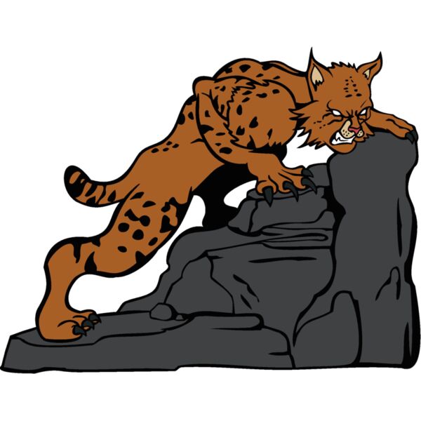 wildcatbc5 Thumbnail