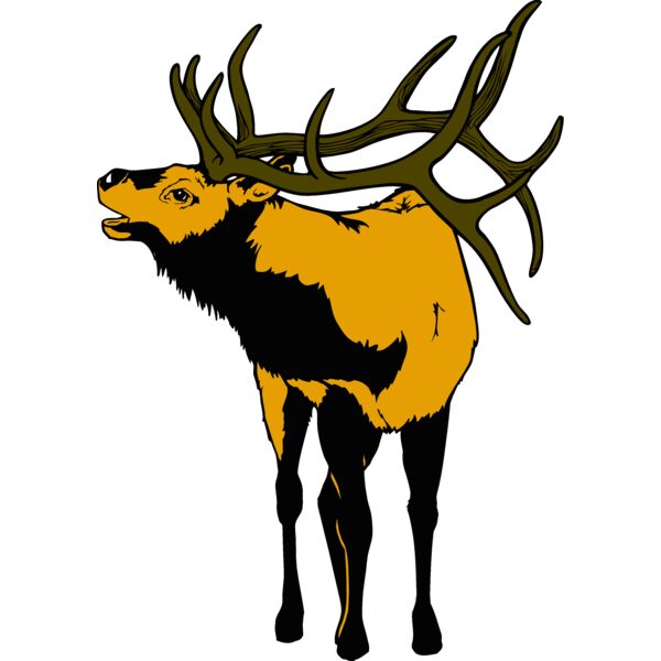 elk Thumbnail