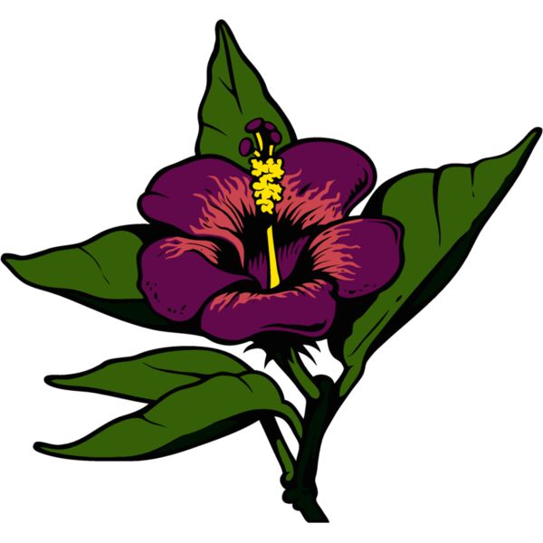 es3tropical01clr Thumbnail