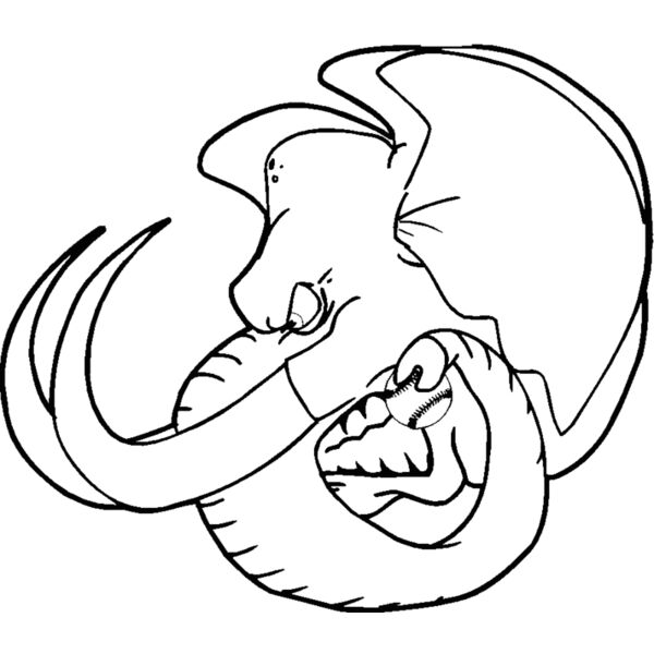 elephanthead03 Thumbnail