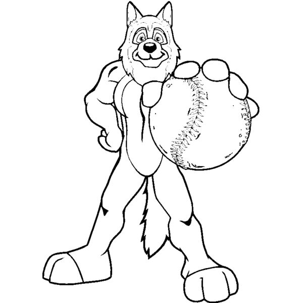 dgbsbllbns Thumbnail