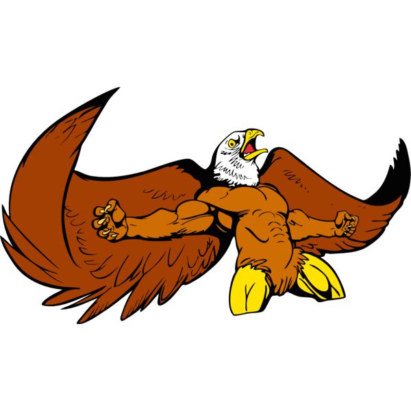 eaglemsct1 Thumbnail