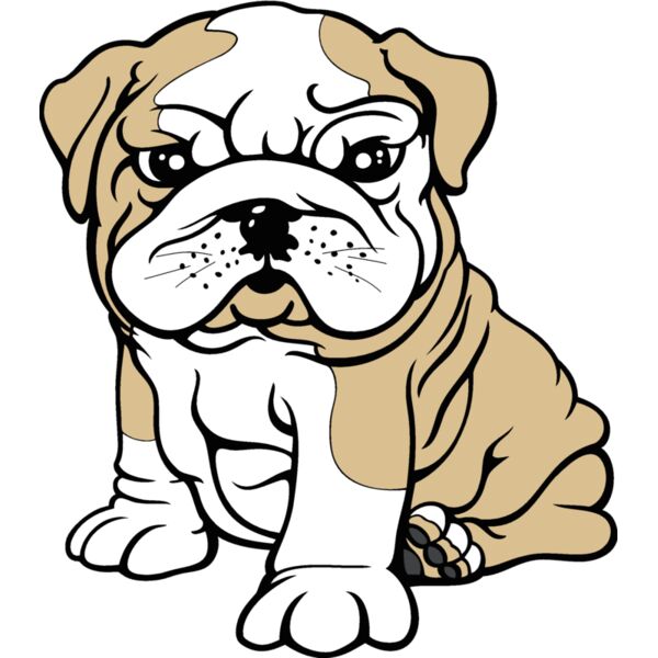 bulldog10v4clr Thumbnail