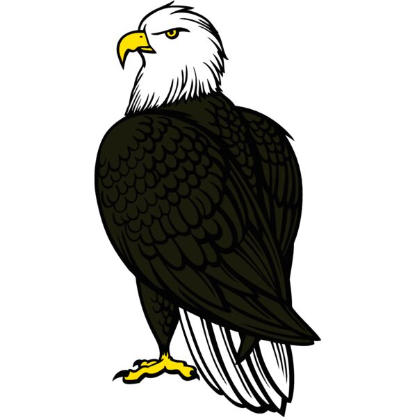 eagle10v4clr Thumbnail