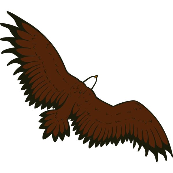 eagle16v4clr Thumbnail