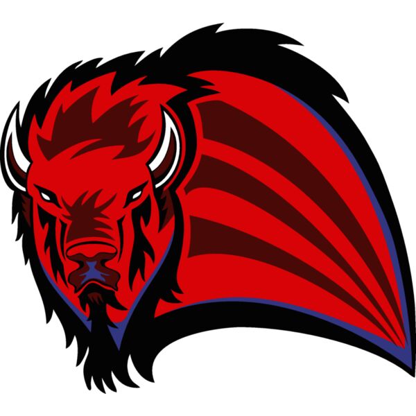 buffaloj011 Thumbnail