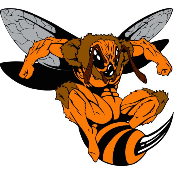 yellowjacket Thumbnail