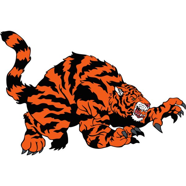 tigermsct03 Thumbnail