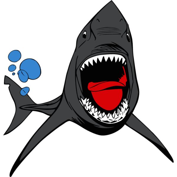 shark4 Thumbnail
