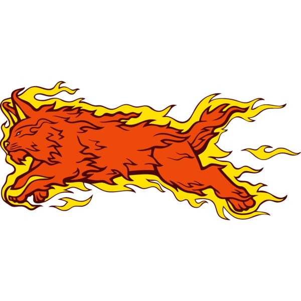 wildcatflmsc17 Thumbnail